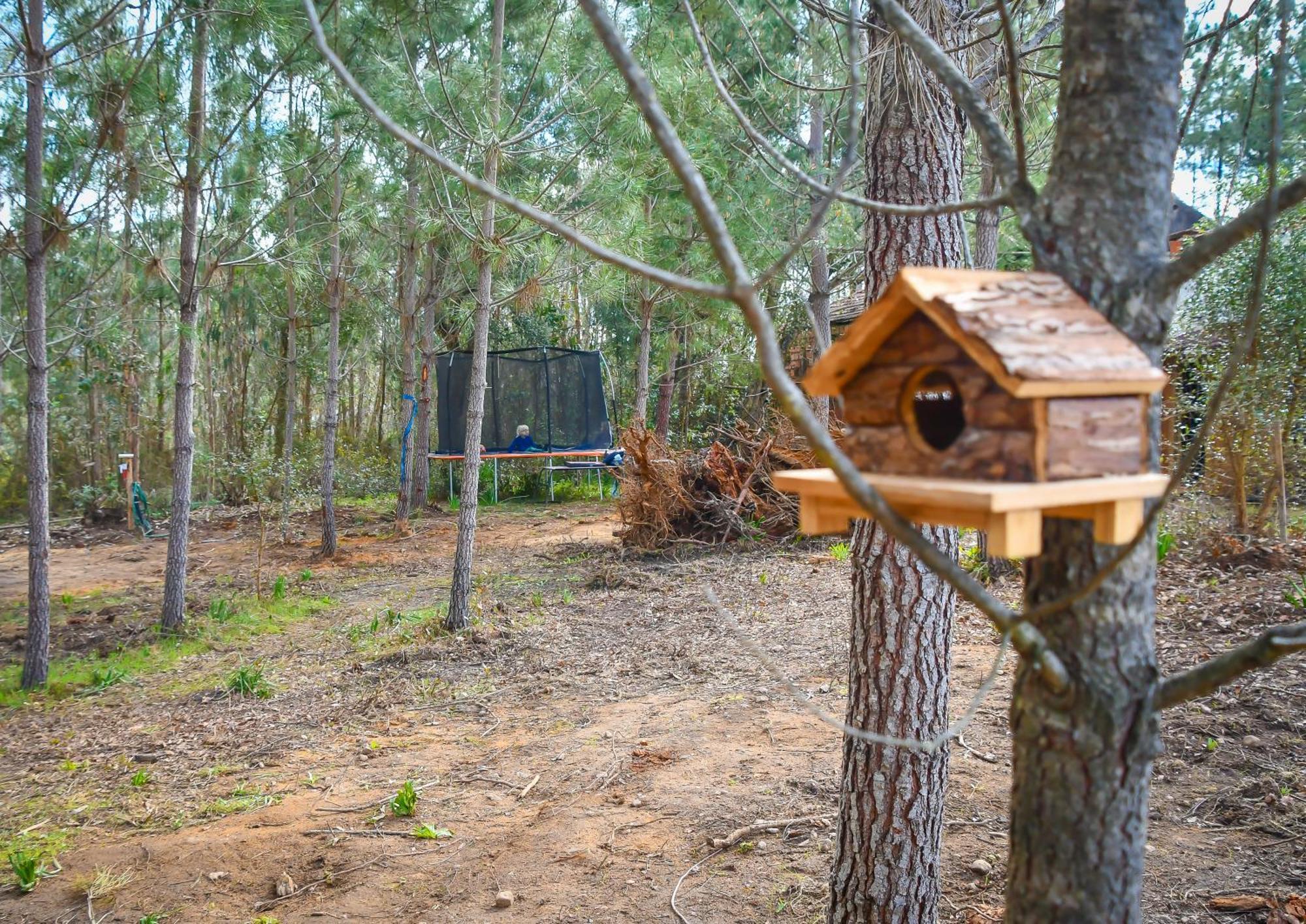 Yuccasa - Small Glamping Camping & Studio'S Pombal  Exterior foto